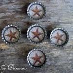 Bottle Cap Magn..